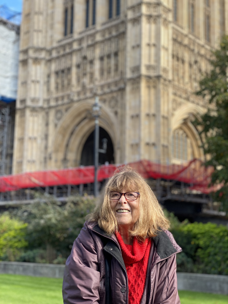 A British woman who has travelled to Switzerland to end her life has urged politicians to launch a parliamentary inquiry into assisted dying, as her last wish before she died. Her plea has been released by the campaign group My Death, My Decision to coincide with a worldwide ‘beacon of light’ initiative for the legalisation of assisted dying, organised by the World Federation of Right to Die Societies. 